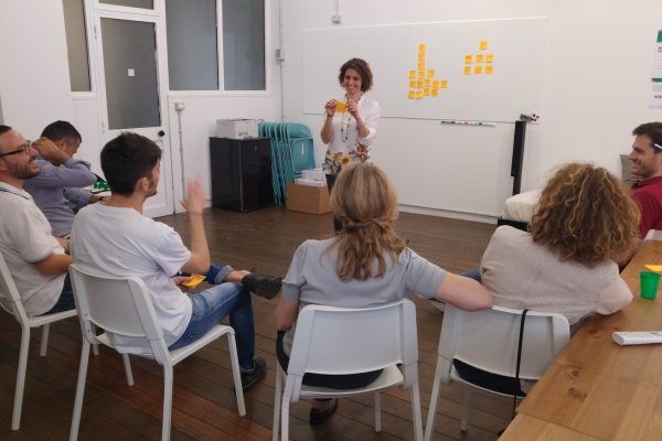 Facilitation primer Alessandra Cianchettini